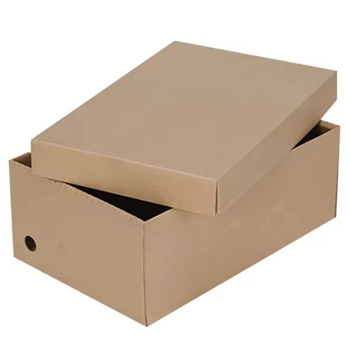 Self Erecting Shoes Paper Boxes